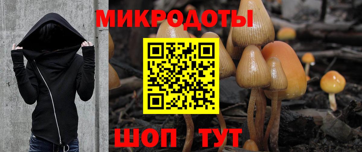 Георгиевск  Псилоцибиновые грибы GOLDEN TEACHER  Псилоцибиновые грибы Magic Shrooms  Вход с VPN 