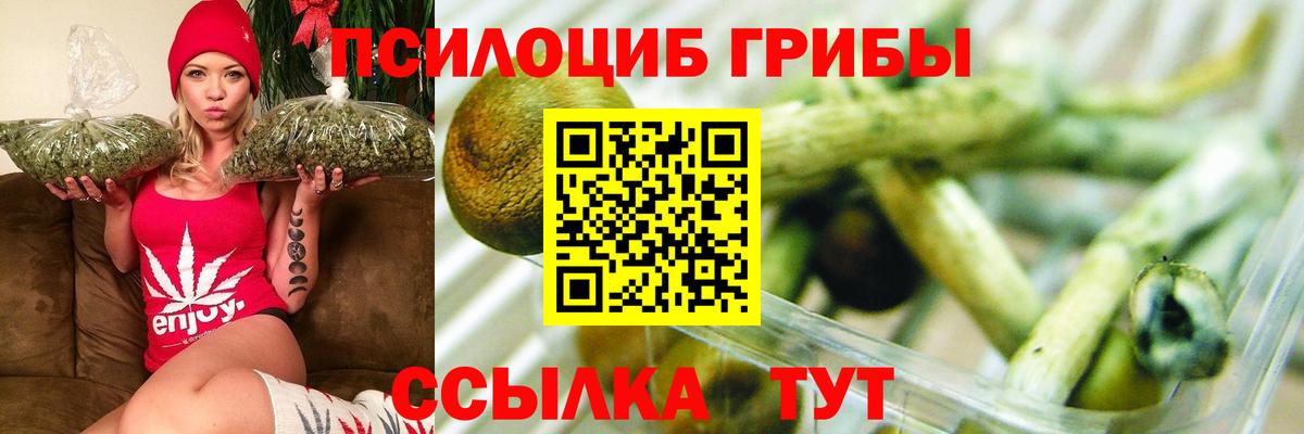 Галлюциногенные грибы мицелий Георгиевск